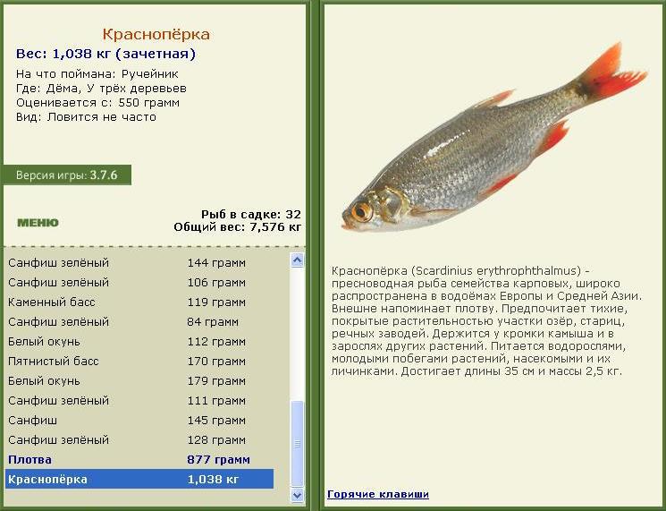У трёх деревьев 