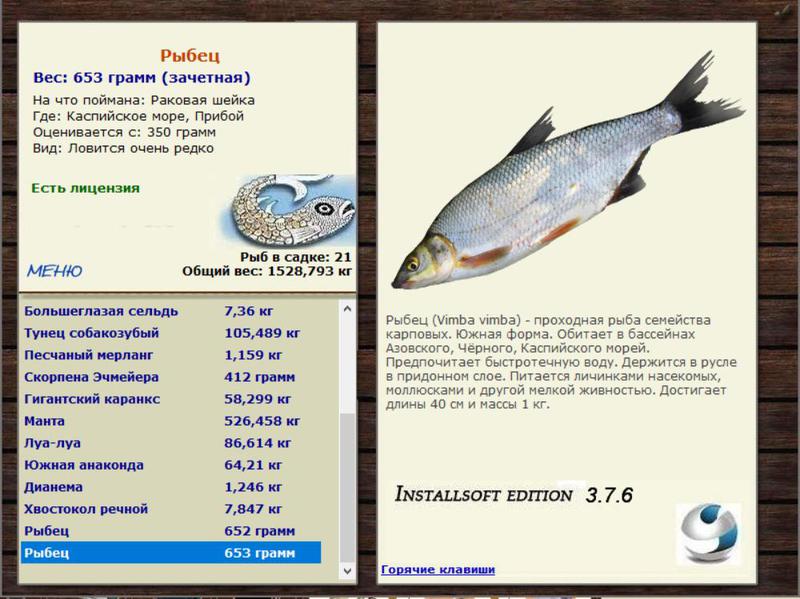 Прибой 