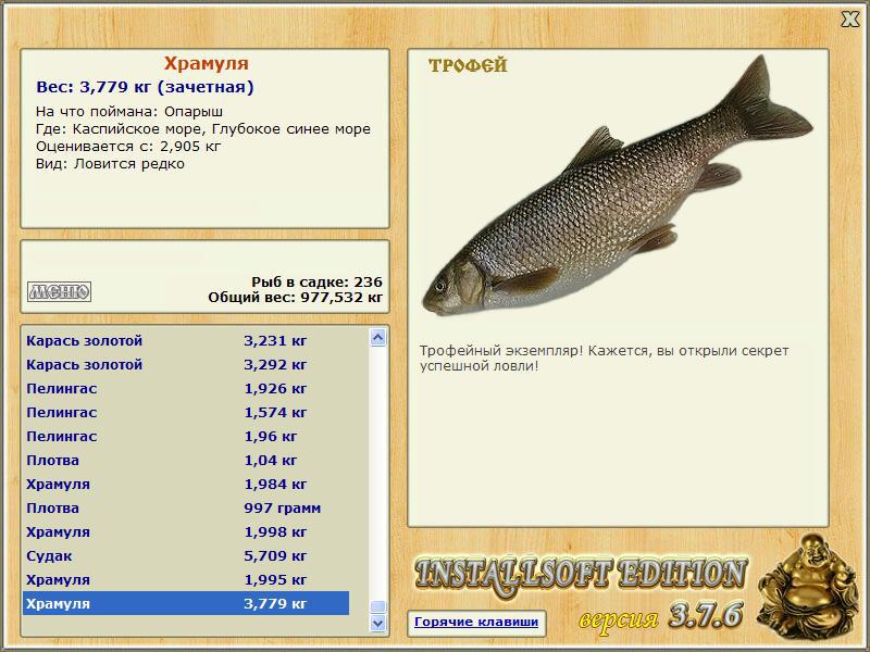 Глубокое синее море 