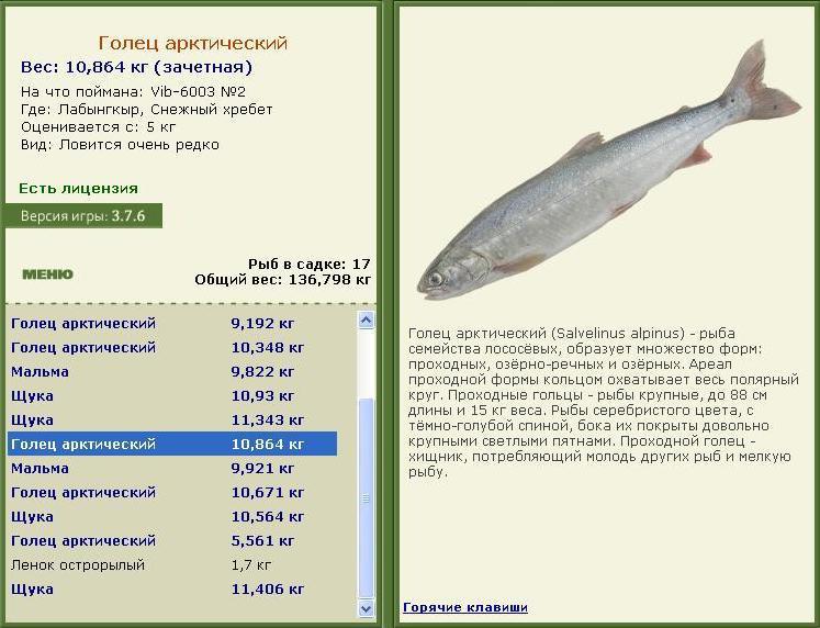 Снежный хребет 