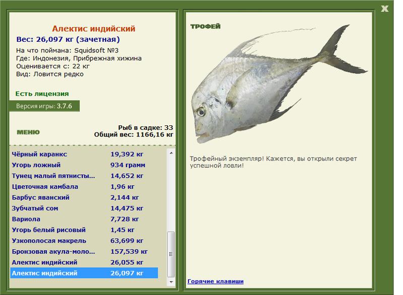 Алектис индийский 