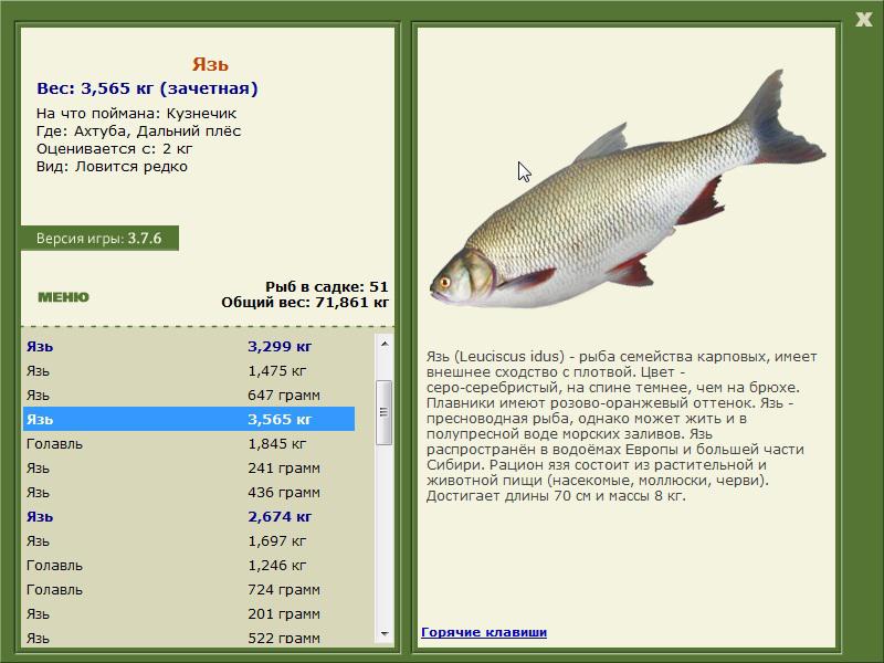 Дальний плёс 