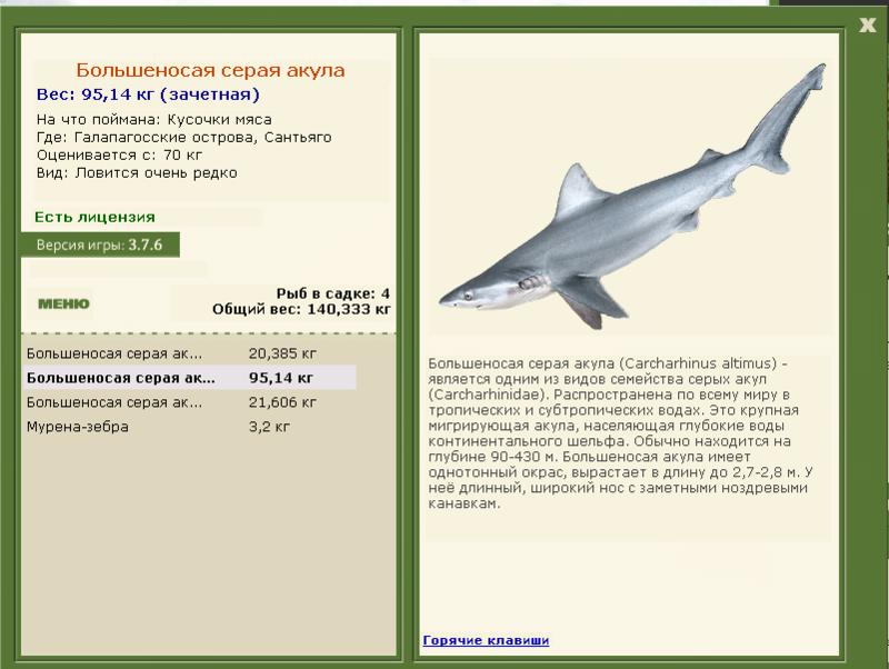 Сантьяго 