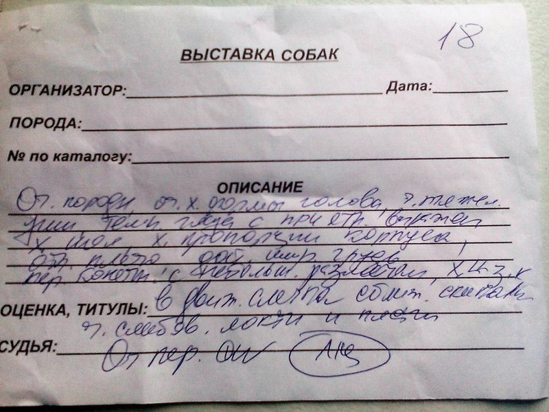 Изображение
