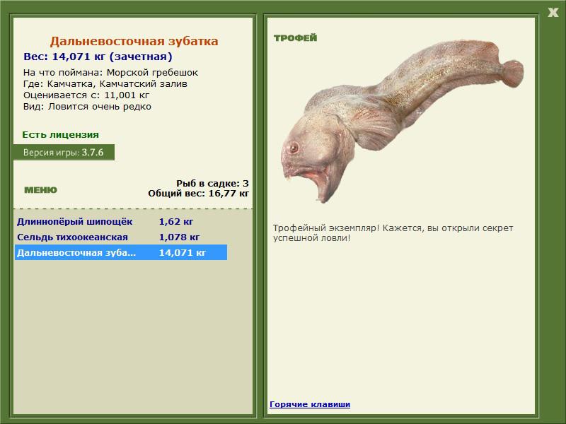 Камчатский залив 