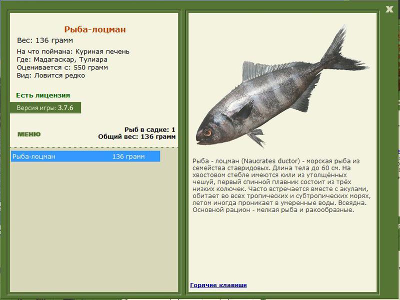 РУССКАЯ РЫБАЛКА Installsoft Edition 