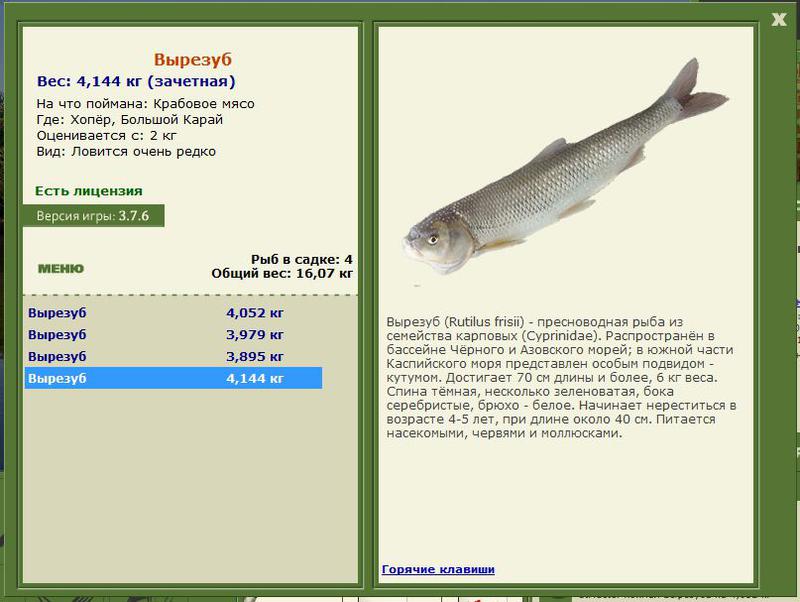 РУССКАЯ РЫБАЛКА Installsoft Edition 