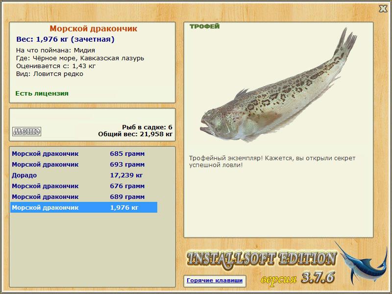 Морской дракончик 