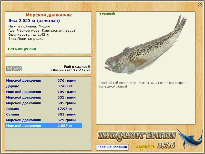Морской дракончик 