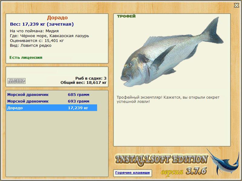 Кавказская лазурь 