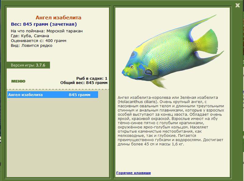 РУССКАЯ РЫБАЛКА Installsoft Edition 