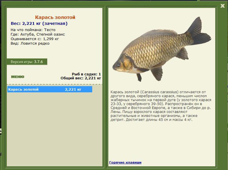 РУССКАЯ РЫБАЛКА Installsoft Edition 