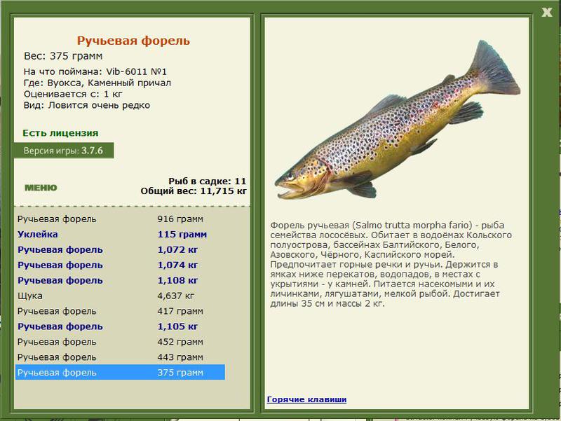 РУССКАЯ РЫБАЛКА Installsoft Edition 
