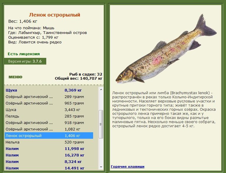 турниры • РУССКАЯ РЫБАЛКА