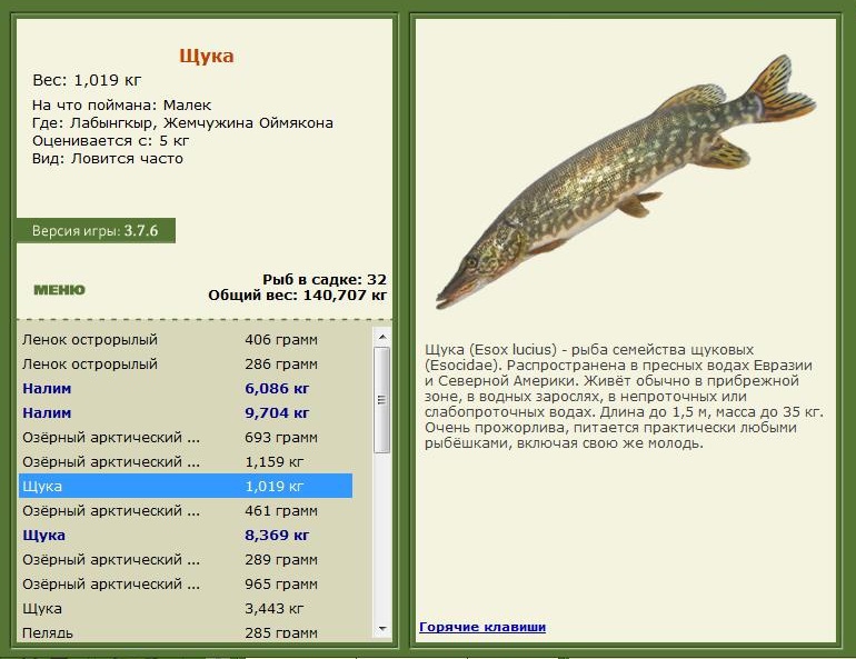 турниры • РУССКАЯ РЫБАЛКА