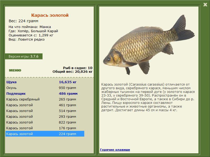 Большой Карай 