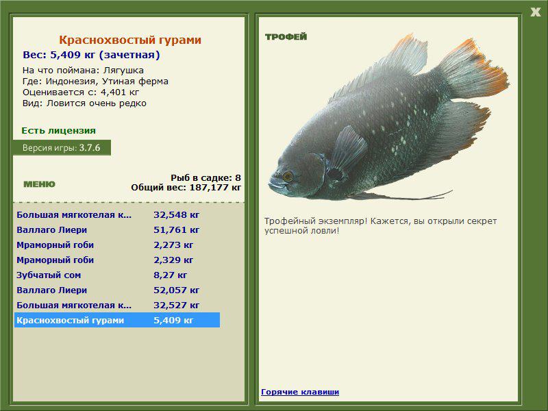 турниры • РУССКАЯ РЫБАЛКА