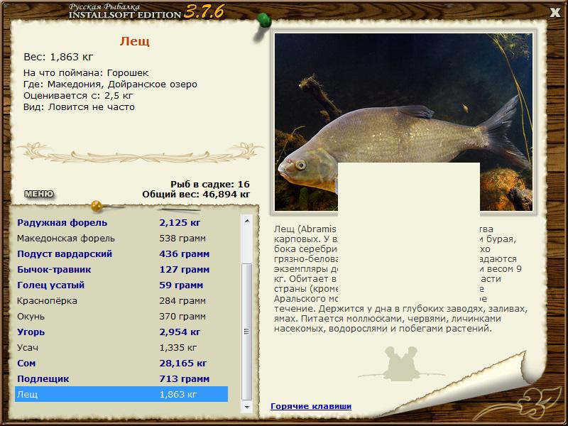 турниры • РУССКАЯ РЫБАЛКА