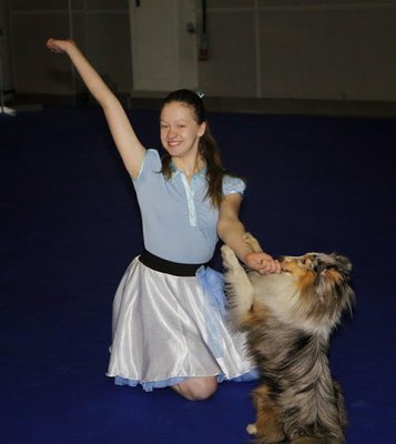 ФОРУМ ЛЮБИТЕЛЕЙ КОЛЛИ И ШЕЛТИ 