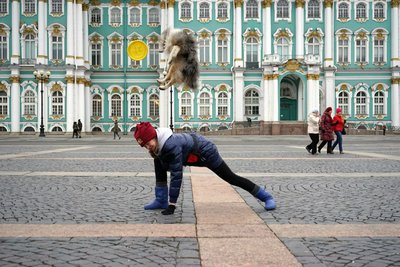 ФОРУМ ЛЮБИТЕЛЕЙ КОЛЛИ И ШЕЛТИ 