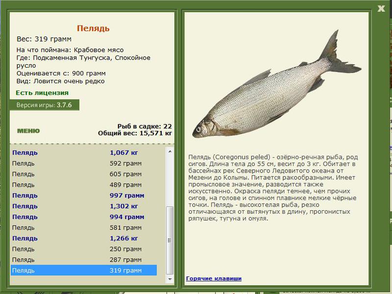 РУССКАЯ РЫБАЛКА Installsoft Edition 