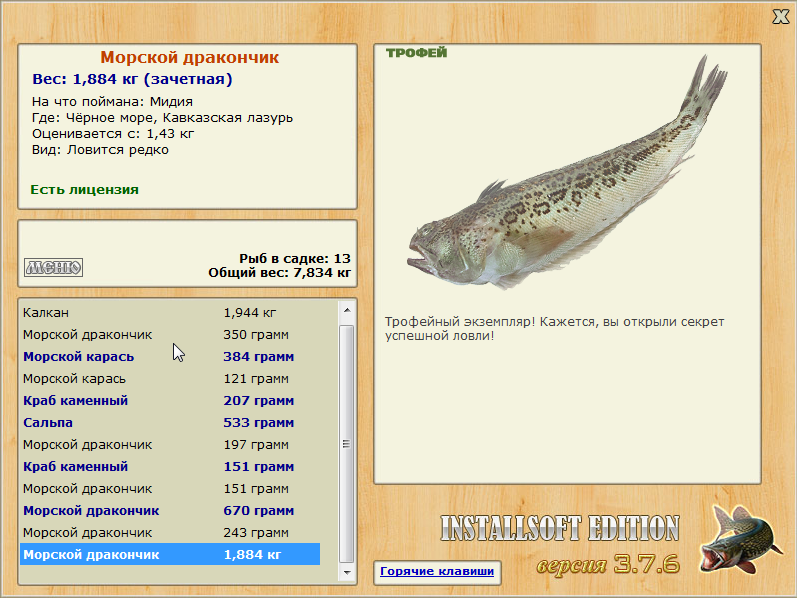Морской дракончик 