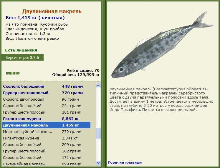 турниры • РУССКАЯ РЫБАЛКА