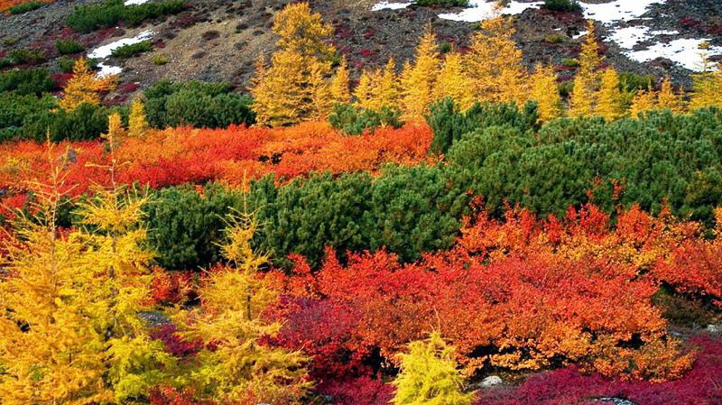 Лето - это маленькая жизнь...  Конкурс фотографий