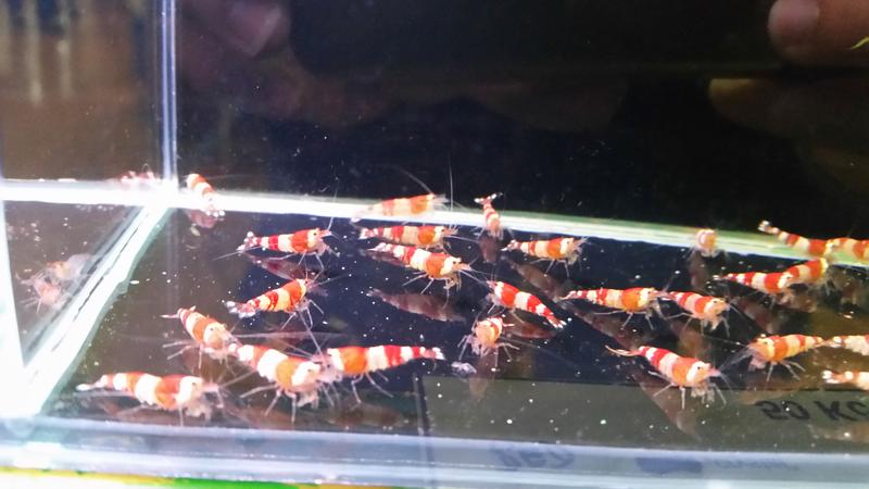  Начать новую тему