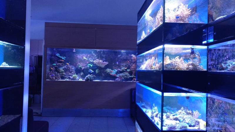  Начать новую тему