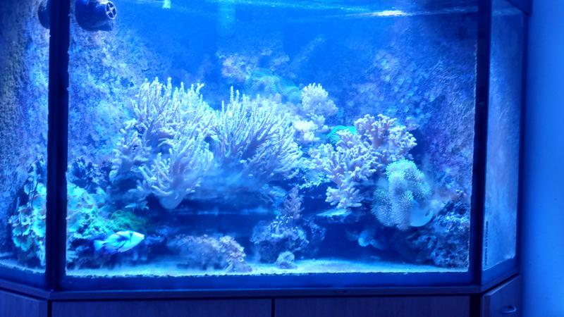  Начать новую тему