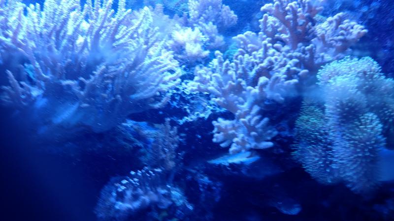  Начать новую тему