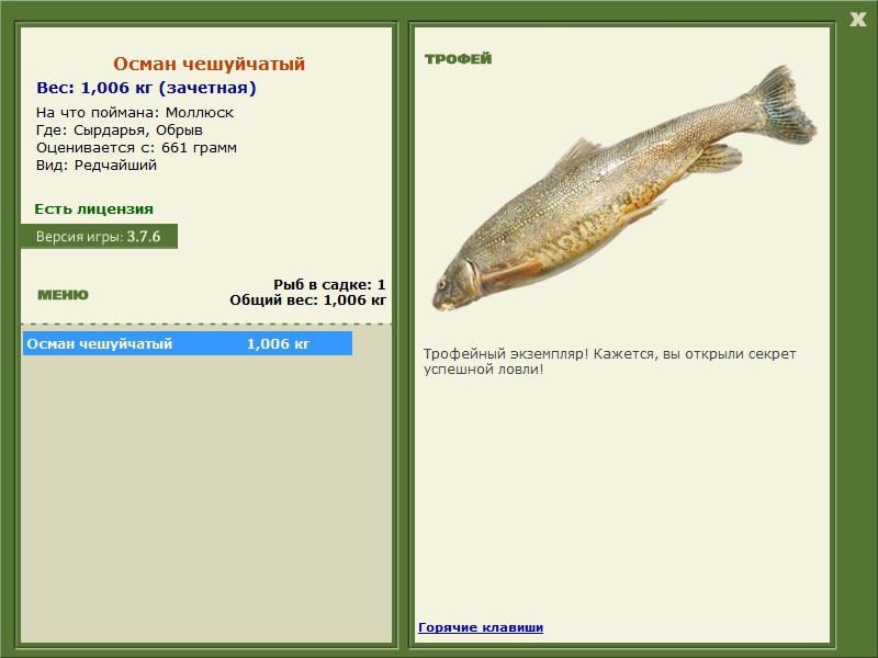 Обрыв 