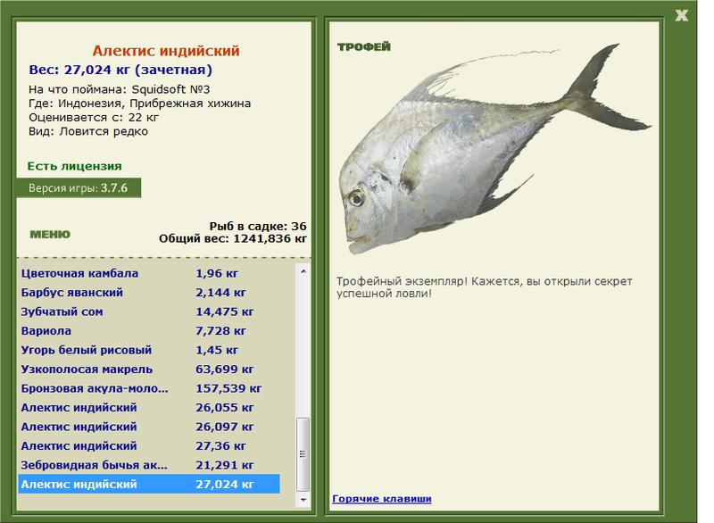 Алектис индийский 