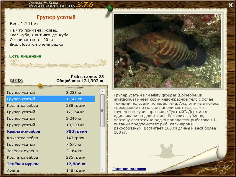 турниры • РУССКАЯ РЫБАЛКА
