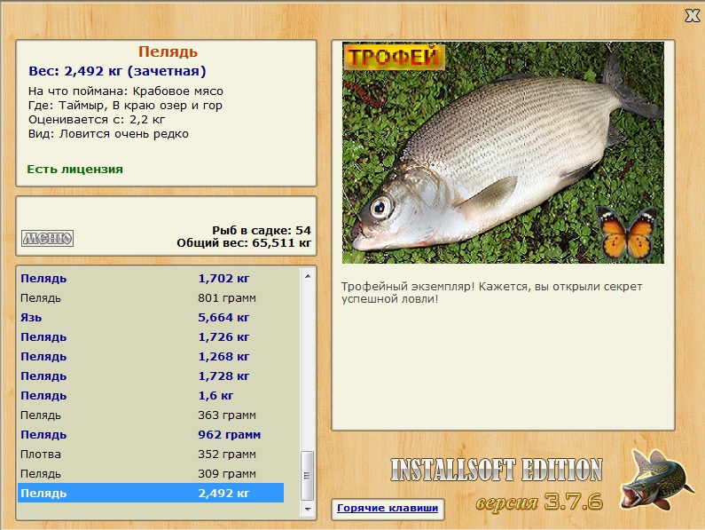Пелядь 