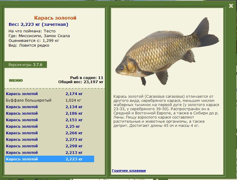РУССКАЯ РЫБАЛКА Installsoft Edition 