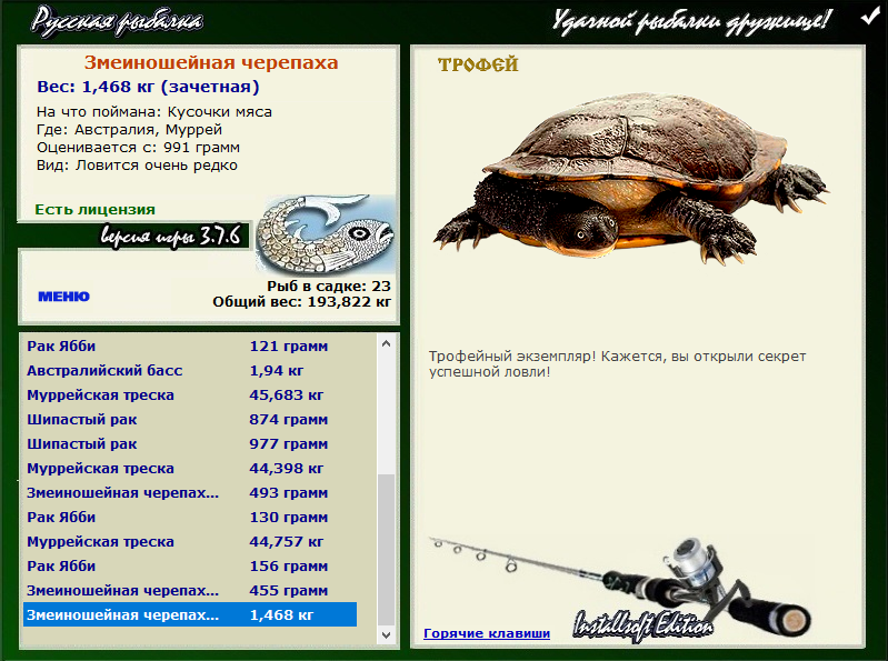 Змеиношейная черепаха 