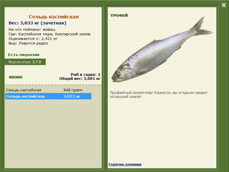 Кизлярский залив 