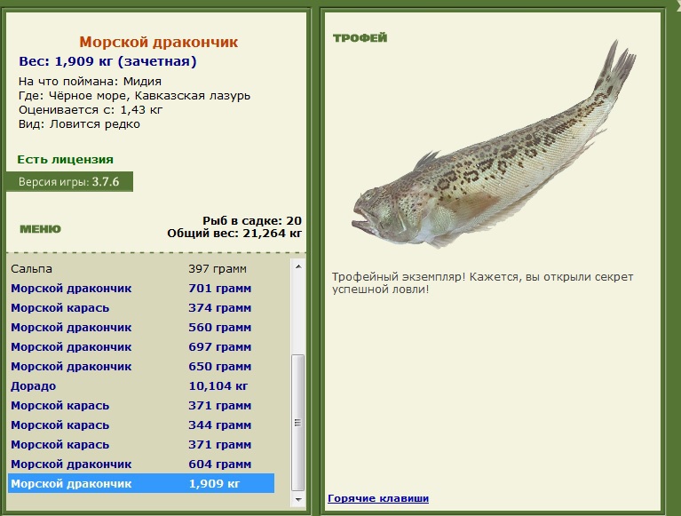 Морской дракончик 