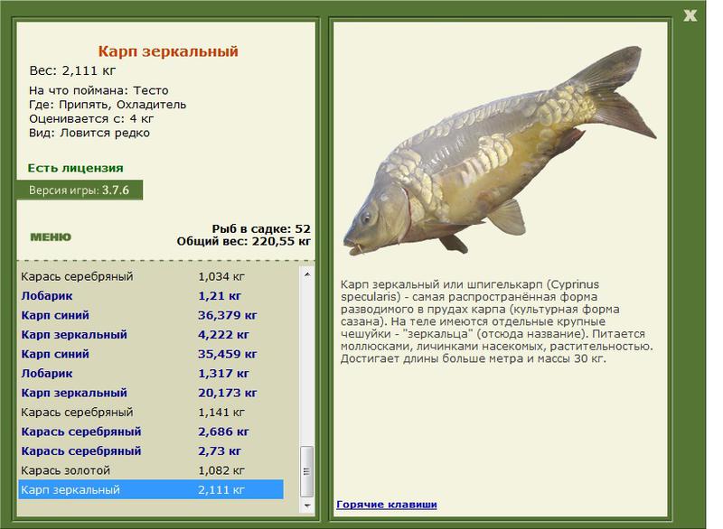 турниры • РУССКАЯ РЫБАЛКА