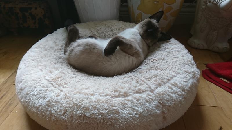 Живой уголок