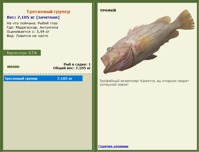 турниры • РУССКАЯ РЫБАЛКА