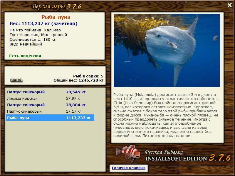  Максимальный Вес • Praise-турниры • РУССКАЯ РЫБАЛКА