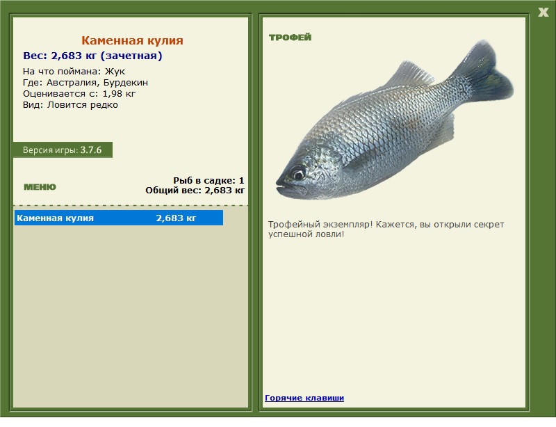 Жук 