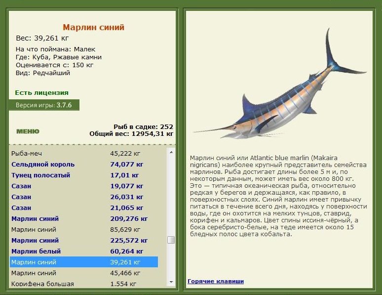турниры • РУССКАЯ РЫБАЛКА