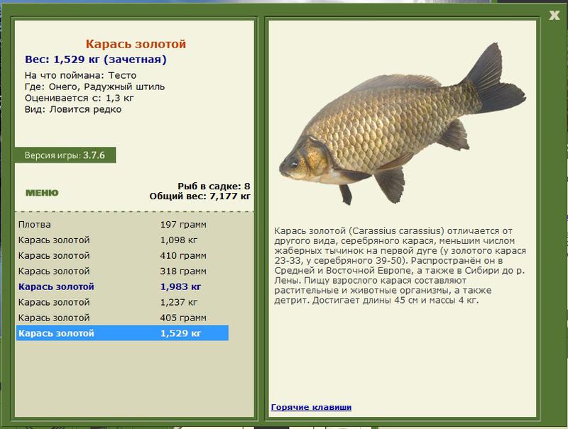 турниры • РУССКАЯ РЫБАЛКА