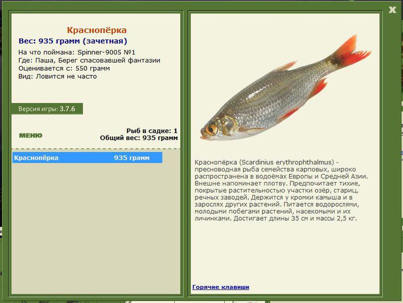 РУССКАЯ РЫБАЛКА Installsoft Edition 