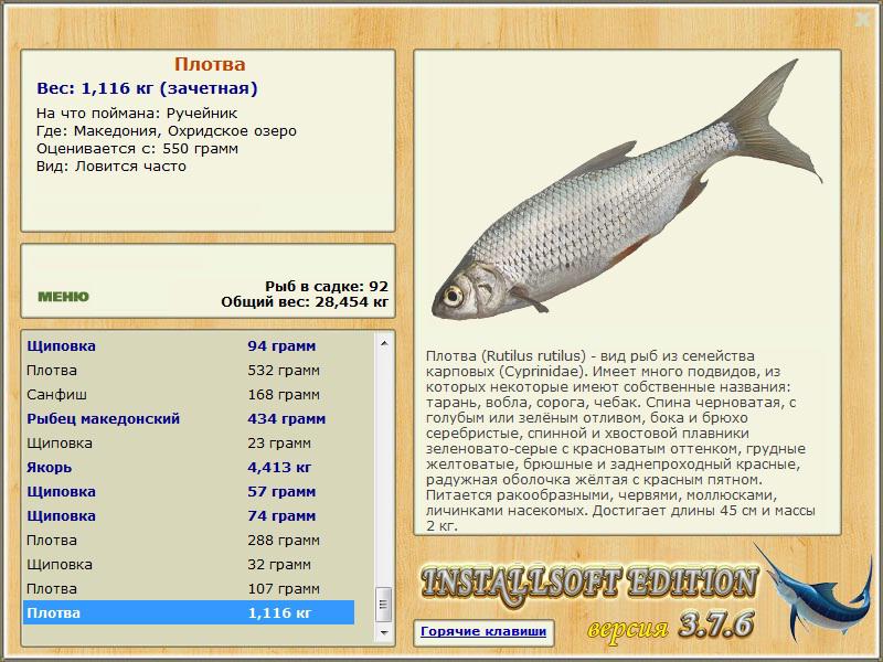турниры • РУССКАЯ РЫБАЛКА