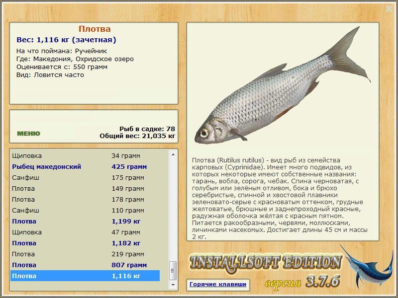 турниры • РУССКАЯ РЫБАЛКА
